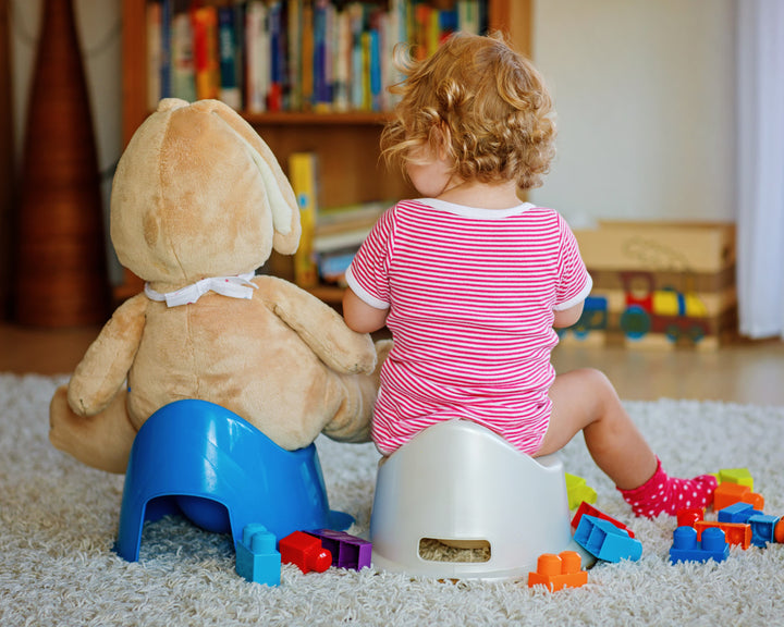 Professional Toilet Training Service