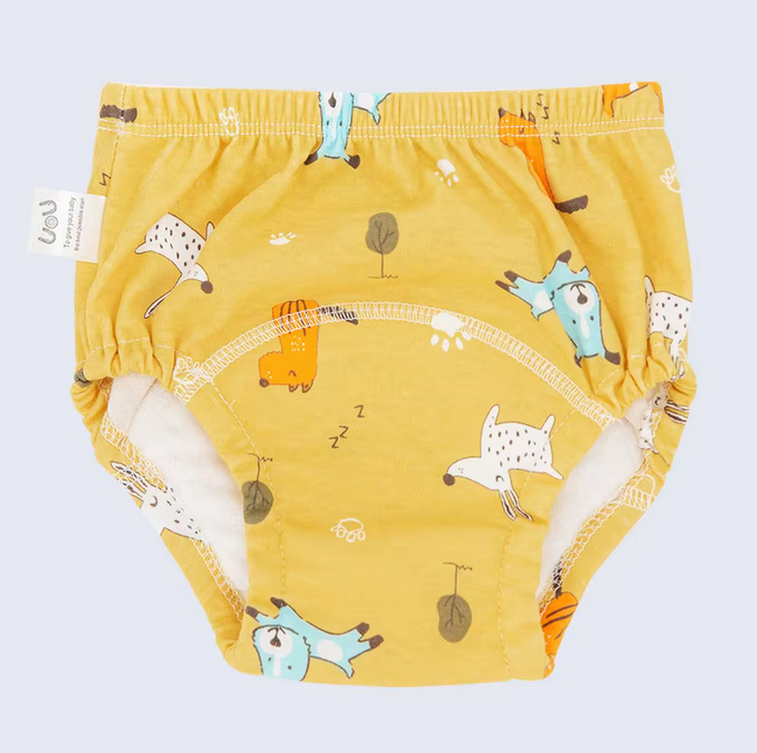 Big Kid Pants (Waterproof Layer)